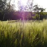 Apartman Haus Sonnengruss *