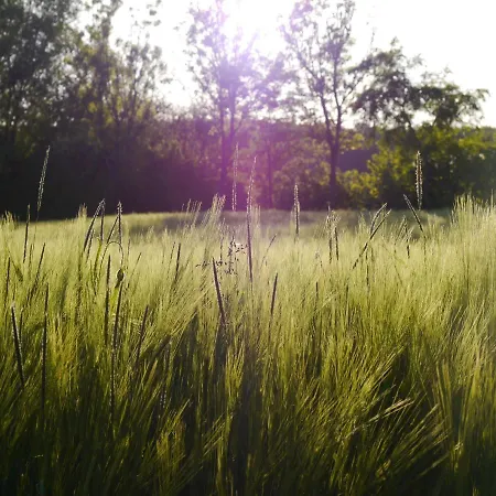 דירה Haus Sonnengruss *