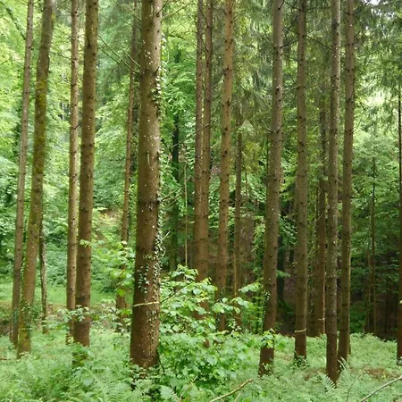 Haus Sonnengruss * זאלם