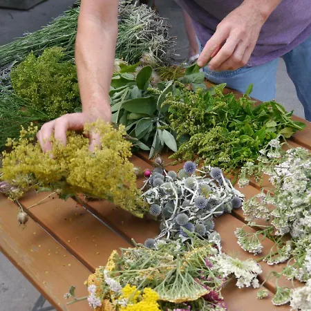 Haus Sonnengruss דירה