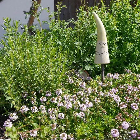 Haus Sonnengruss דירה *